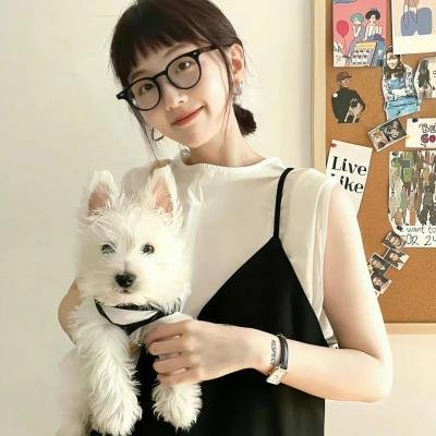 飞马俏姑娘 封面